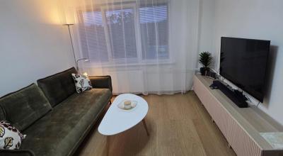 Buto nuoma Druskininkuose